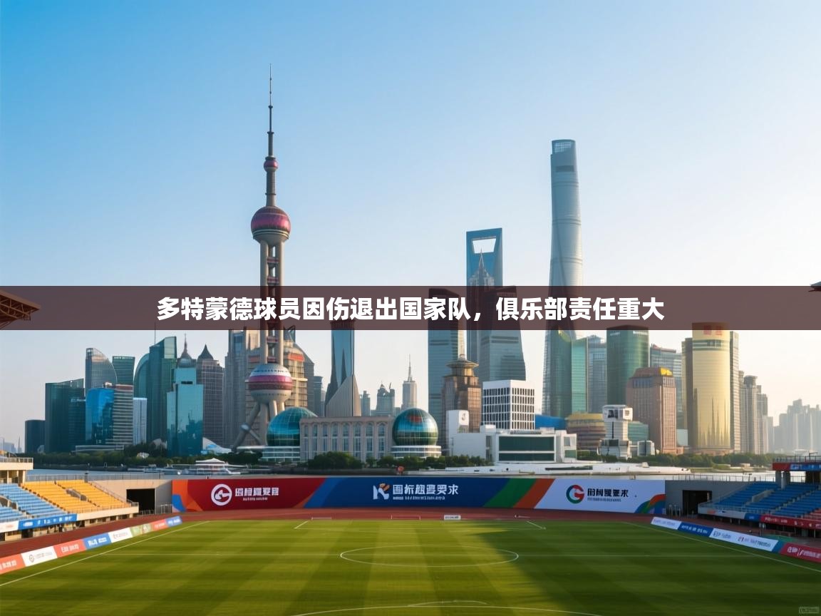 多特蒙德球员因伤退出国家队，俱乐部责任重大  第1张