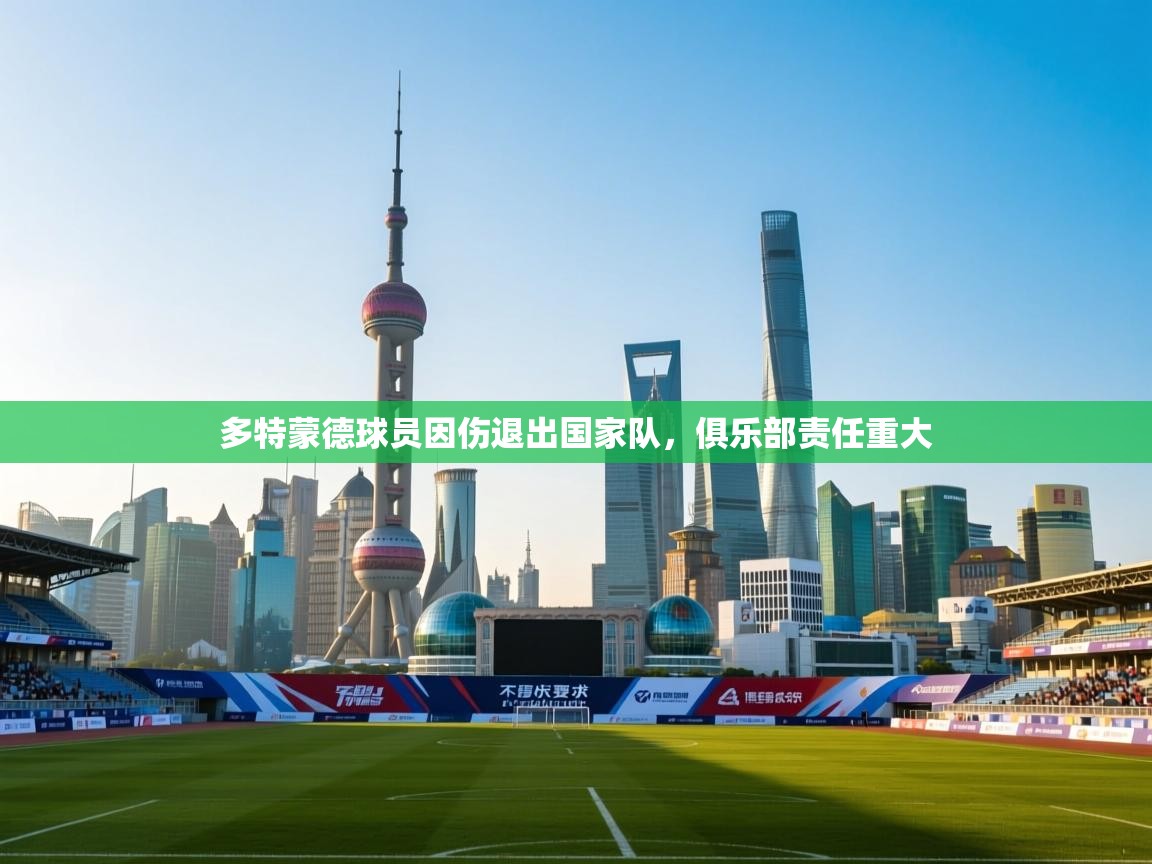 多特蒙德球员因伤退出国家队，俱乐部责任重大  第2张