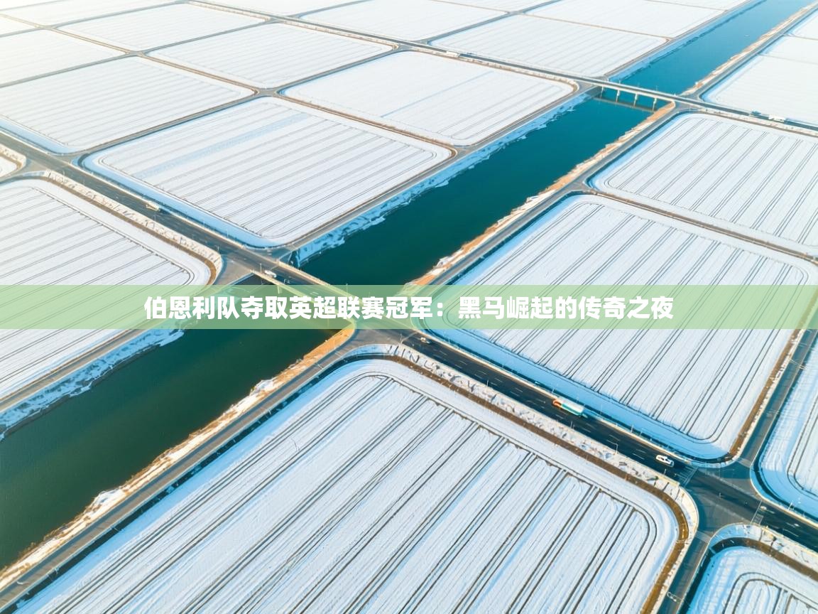 伯恩利队夺取英超联赛冠军:黑马崛起的传奇之夜 第1张