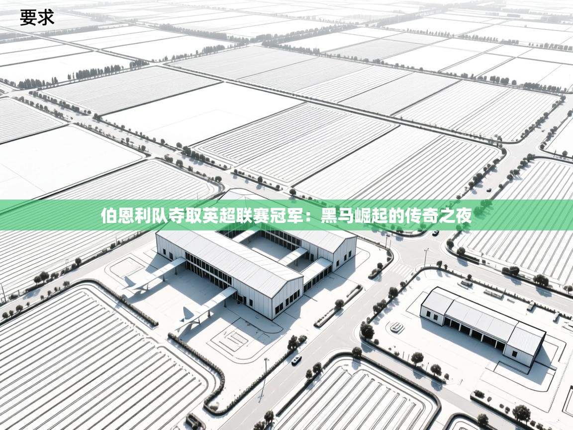 伯恩利队夺取英超联赛冠军:黑马崛起的传奇之夜 第2张