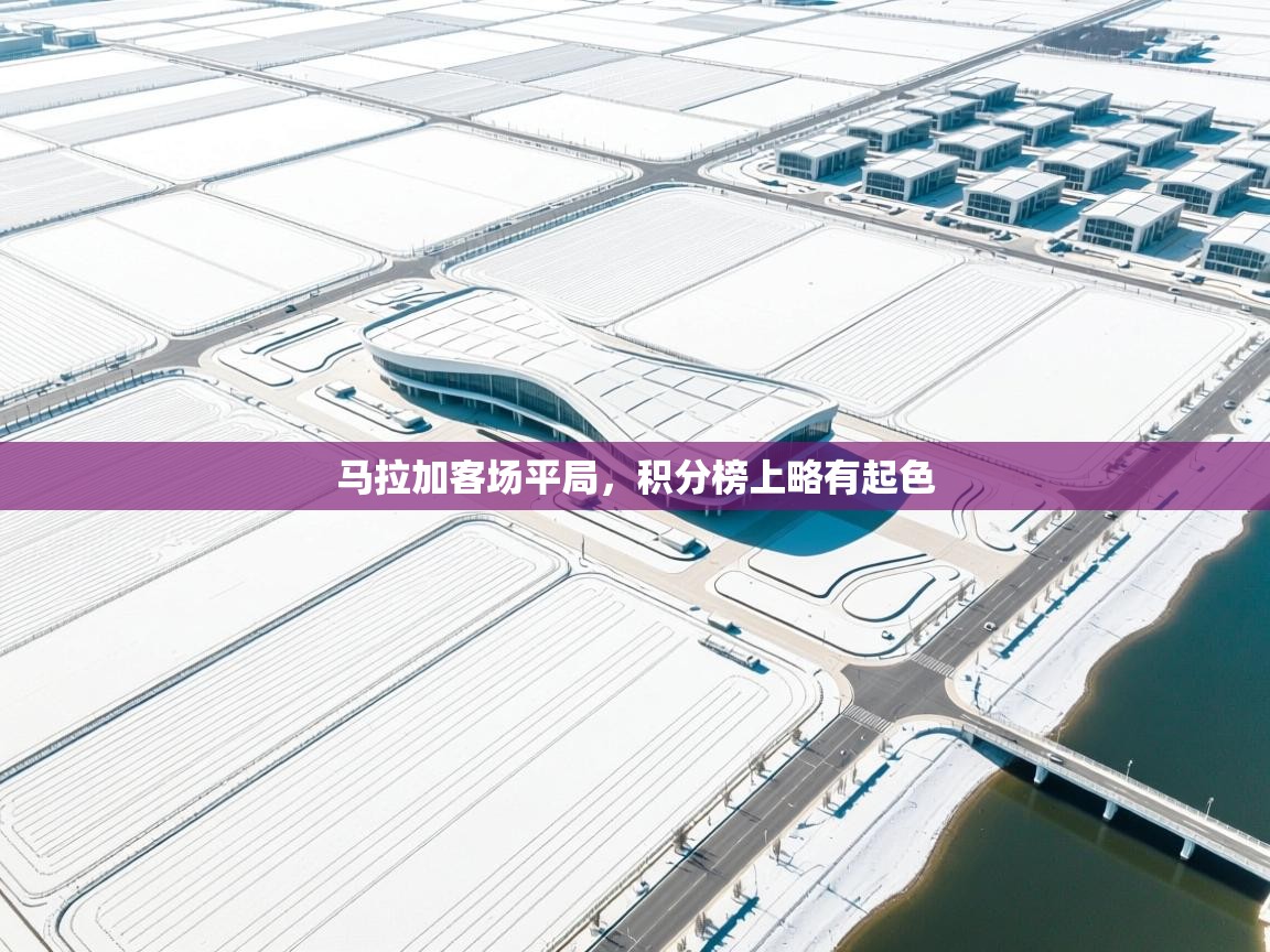 马拉加客场平局，积分榜上略有起色  第1张