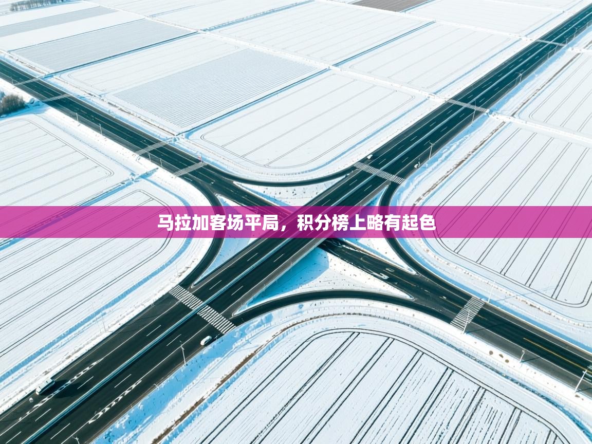 马拉加客场平局，积分榜上略有起色  第2张