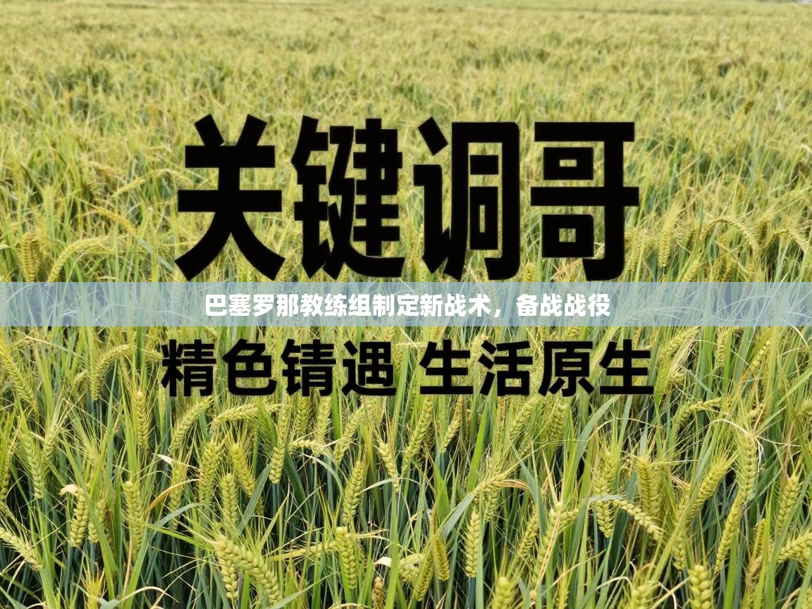 巴塞罗那教练组制定新战术，备战战役  第2张